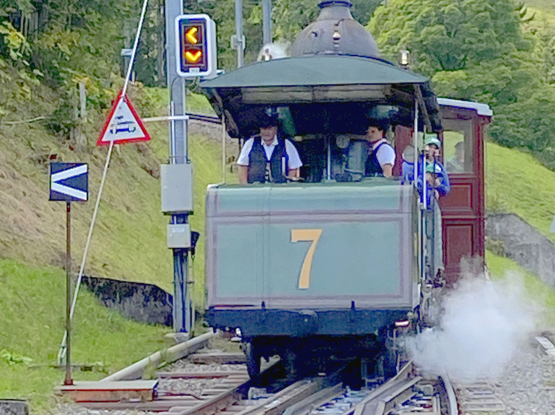 Vitznau-Rigi Kulm cogwheel railway-菲茨瑙必去景点