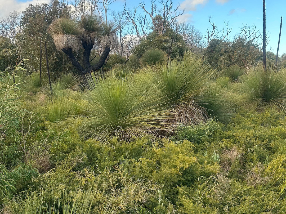 Margaret River Mountain Bike Tours-玛格丽特河必去景点
