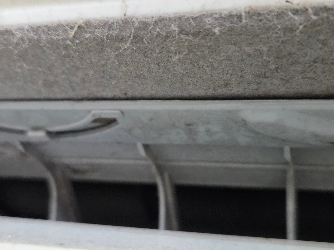 Juara Beach Resort主图