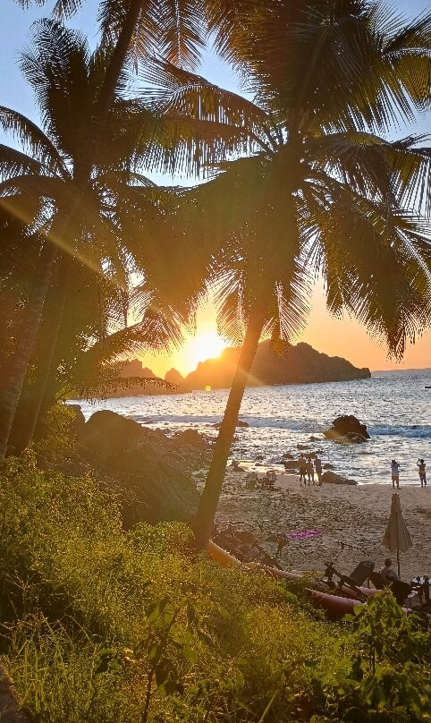 Praia do Cachorro-费尔南多-迪诺罗尼亚群岛必去景点