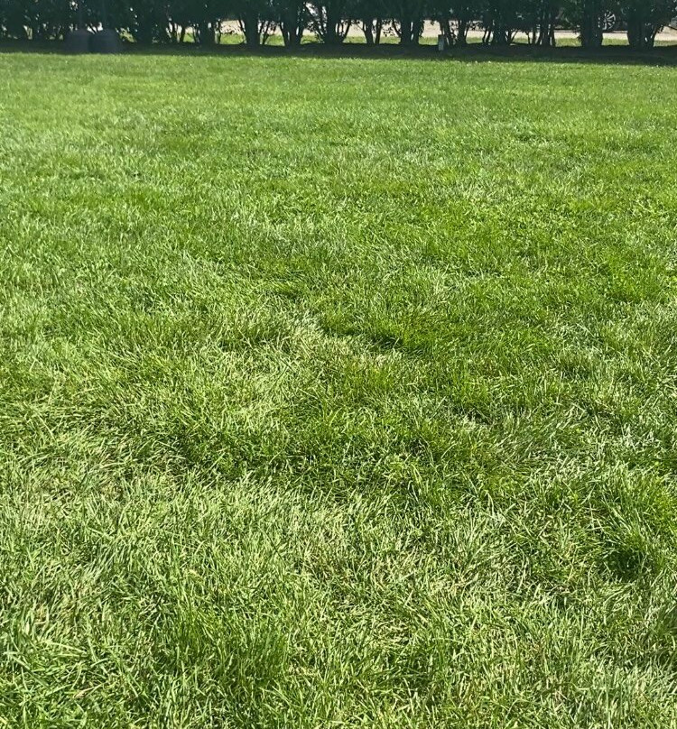 Jamesport Farm Brewery-Riverhead必去景点