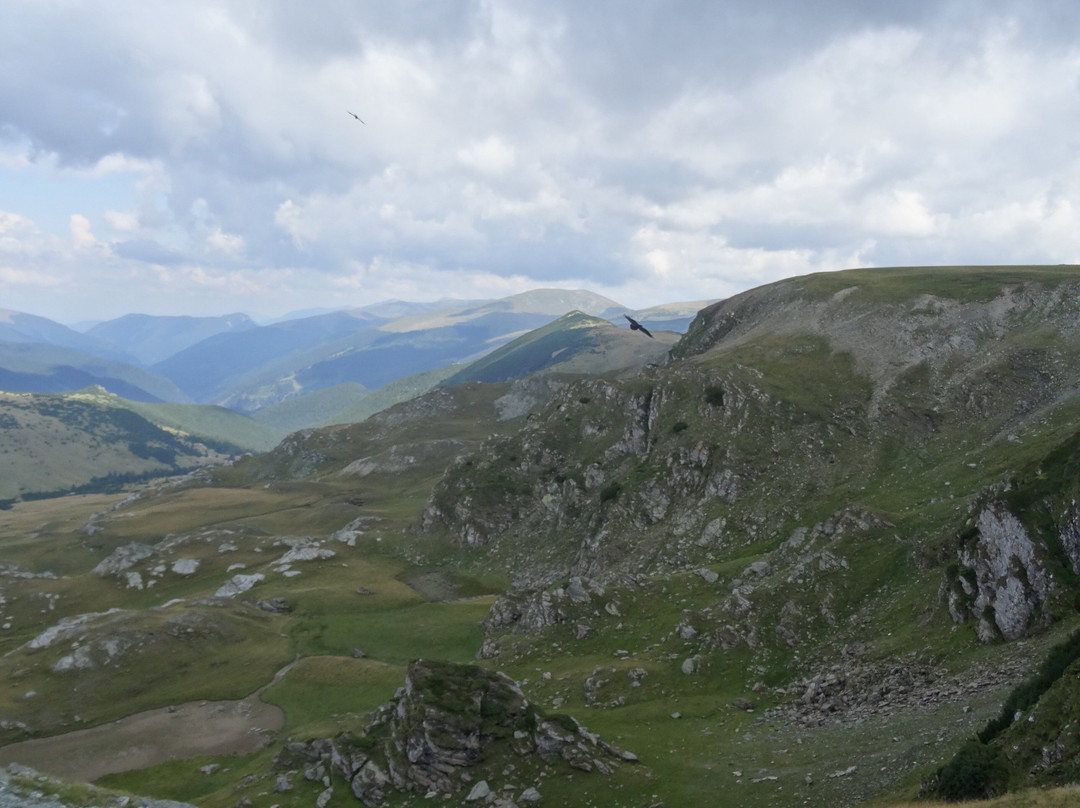 Transalpina-Gorj County必去景点