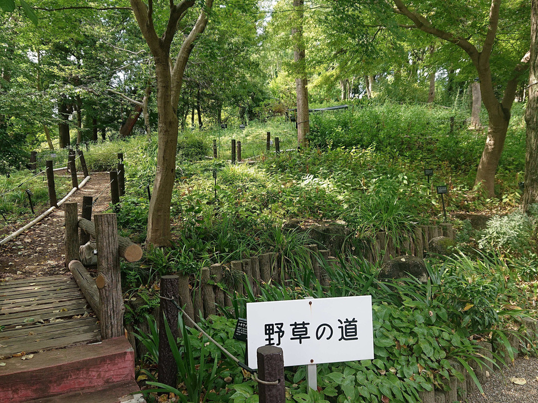 Akatsuka Botanical Gardens-板桥区必去景点