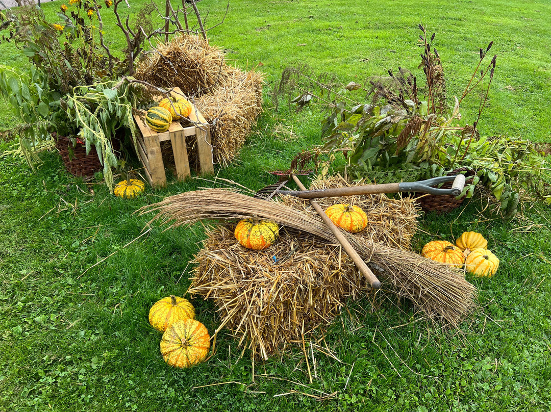 Alsters Herrgård-卡尔斯塔德必去景点