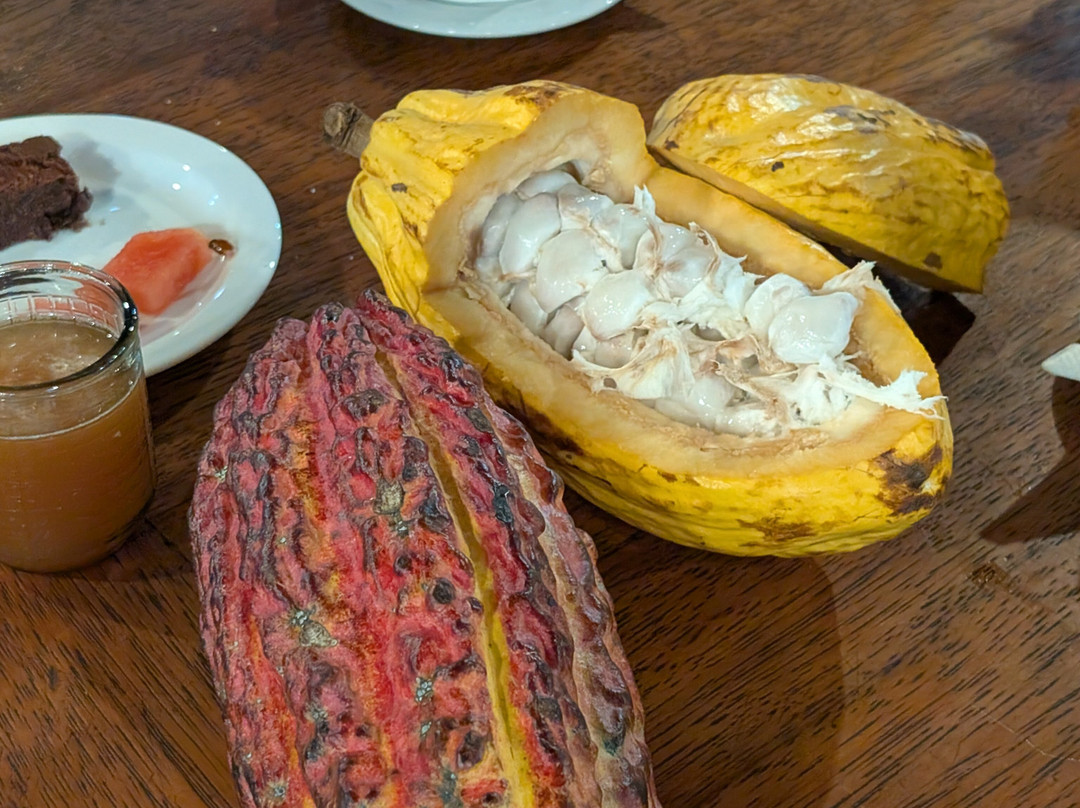 Ecuador Tour Guide Sebastian Carrera-基多必去景点