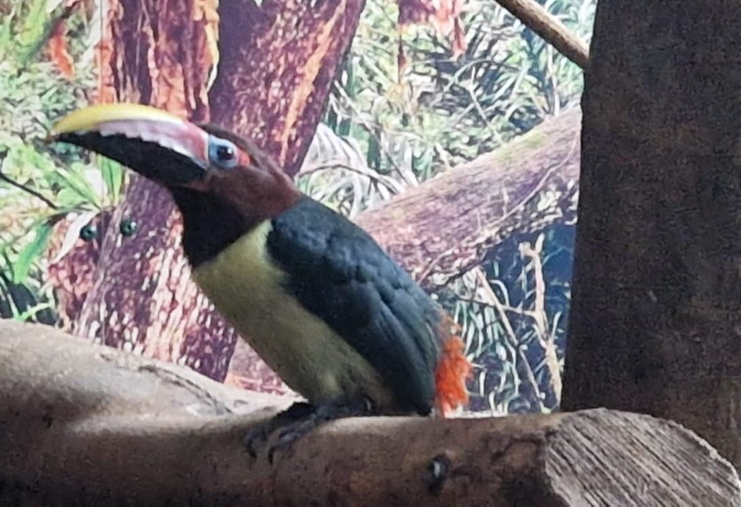 Lakeland Wildlife Oasis-Milnthorpe必去景点