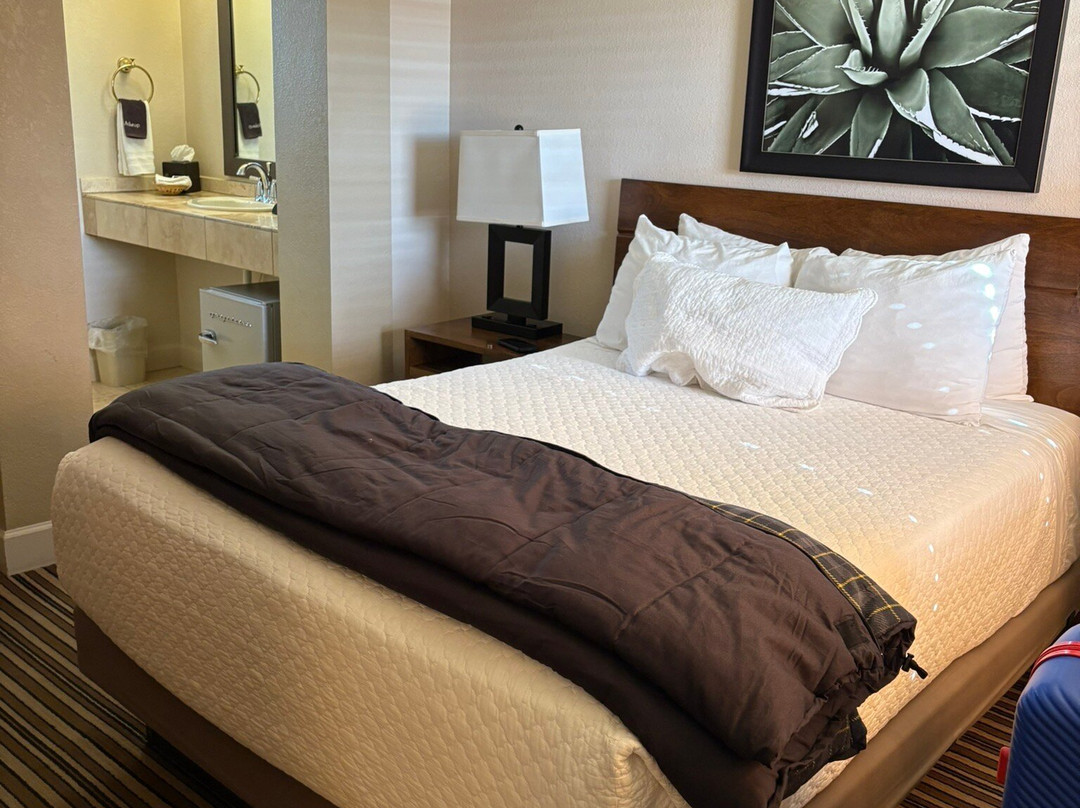 66号公路汽车旅馆主图