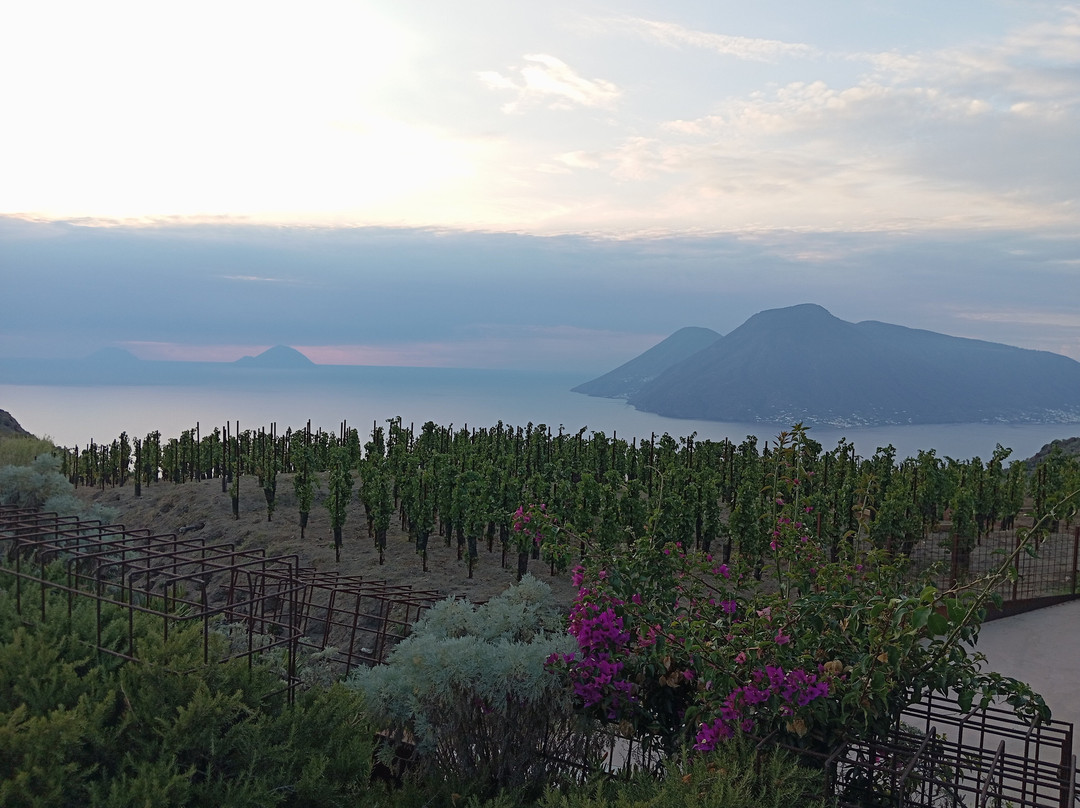 Tenuta Di Castellaro Winery-利帕里必去景点