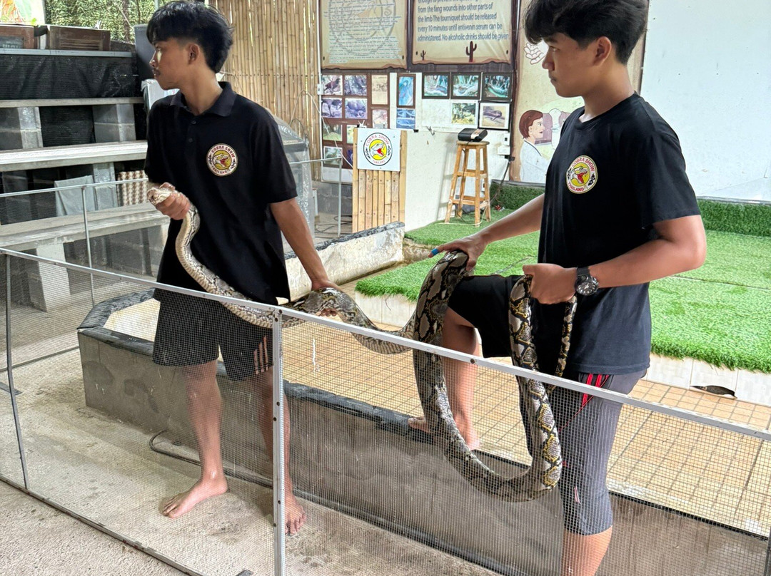 Cobra Show Thailand-苏梅岛必去景点