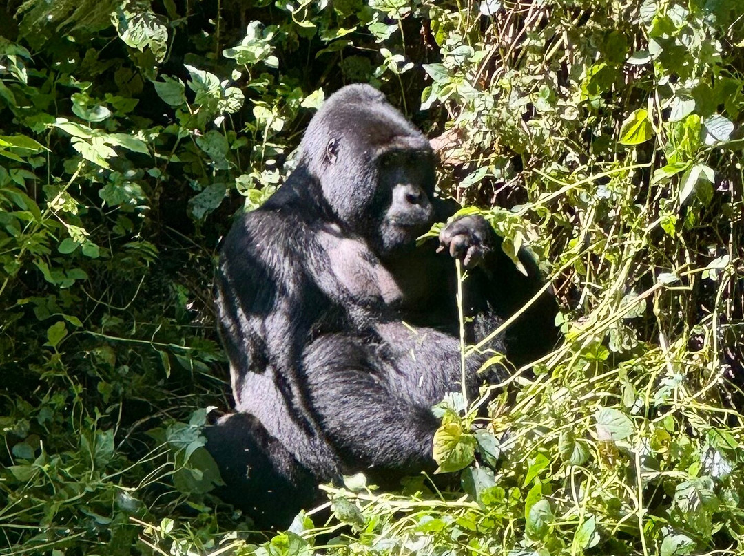 Nature Connect Safaris Uganda-坎帕拉必去景点
