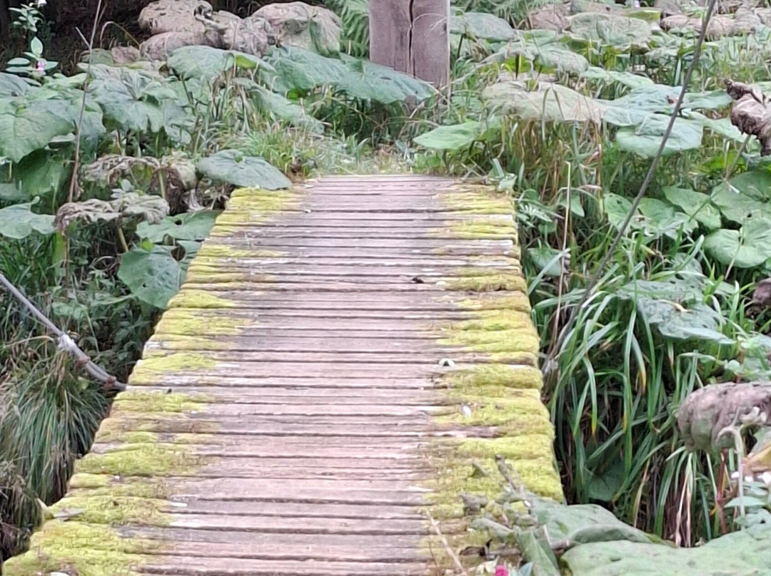 Hannah Peschar Sculpture Garden-Ockley必去景点