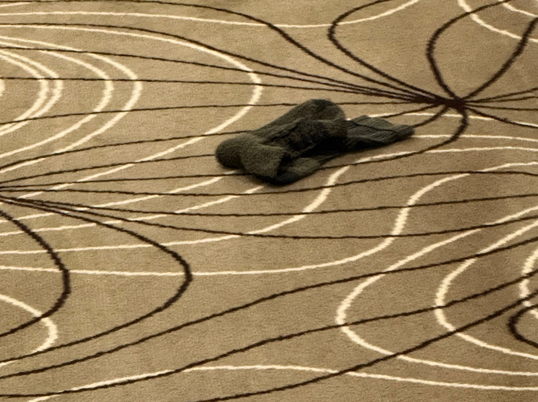 Quality Hotel Regent Rockhampton主图