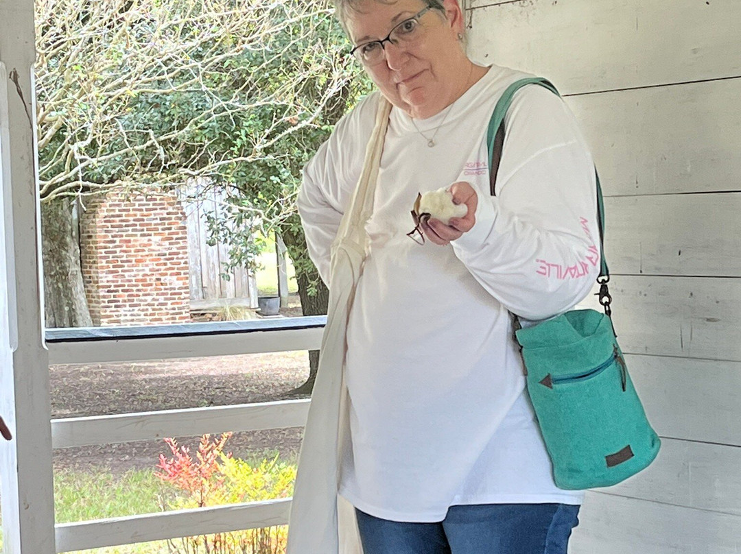 Frogmore Plantation-Ferriday必去景点