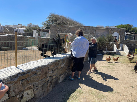 Bespoke Greece-雅典必去景点