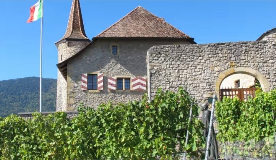 Musée de la Vigne et du Vin-Boudry必去景点