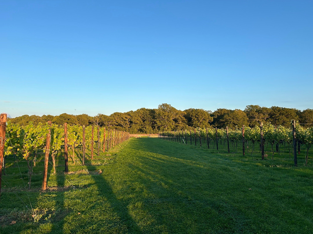 Balfour Winery-Staplehurst必去景点