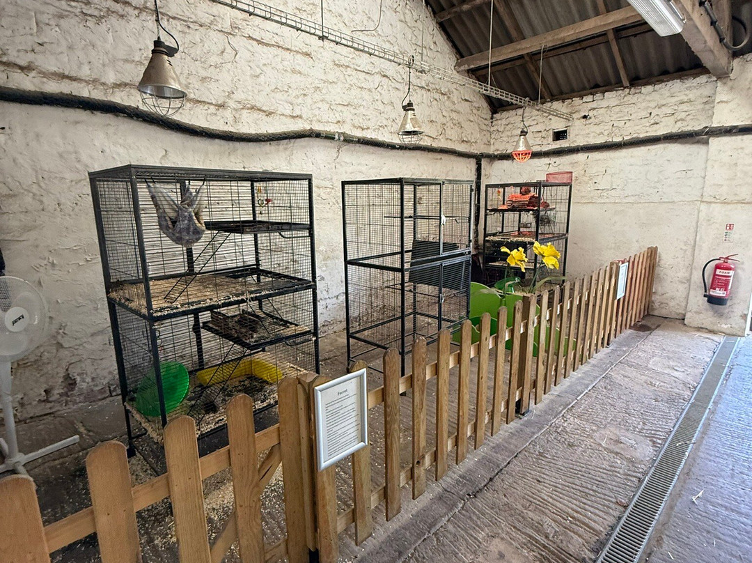 Newham Grange Farm-米德尔斯堡必去景点