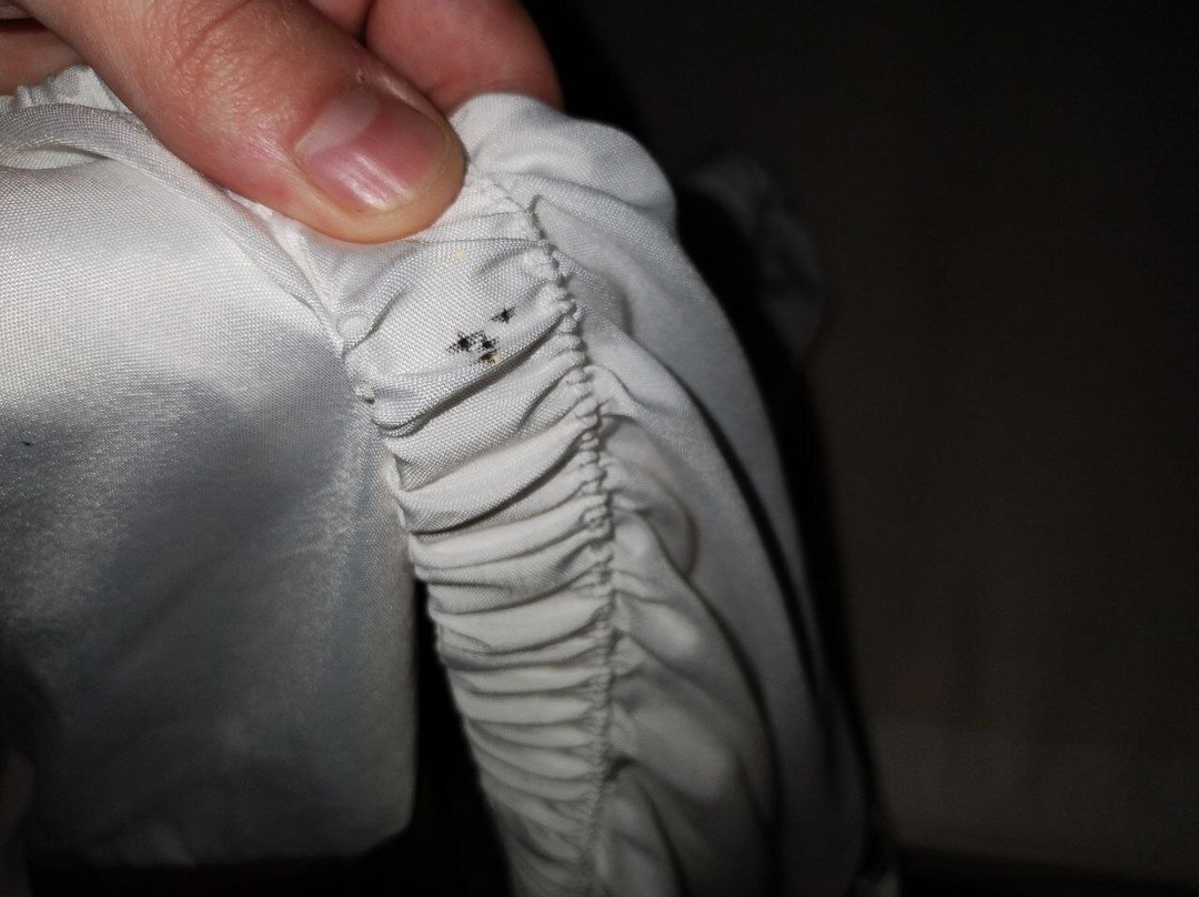 Extended Stay America - Portland - Beaverton主图