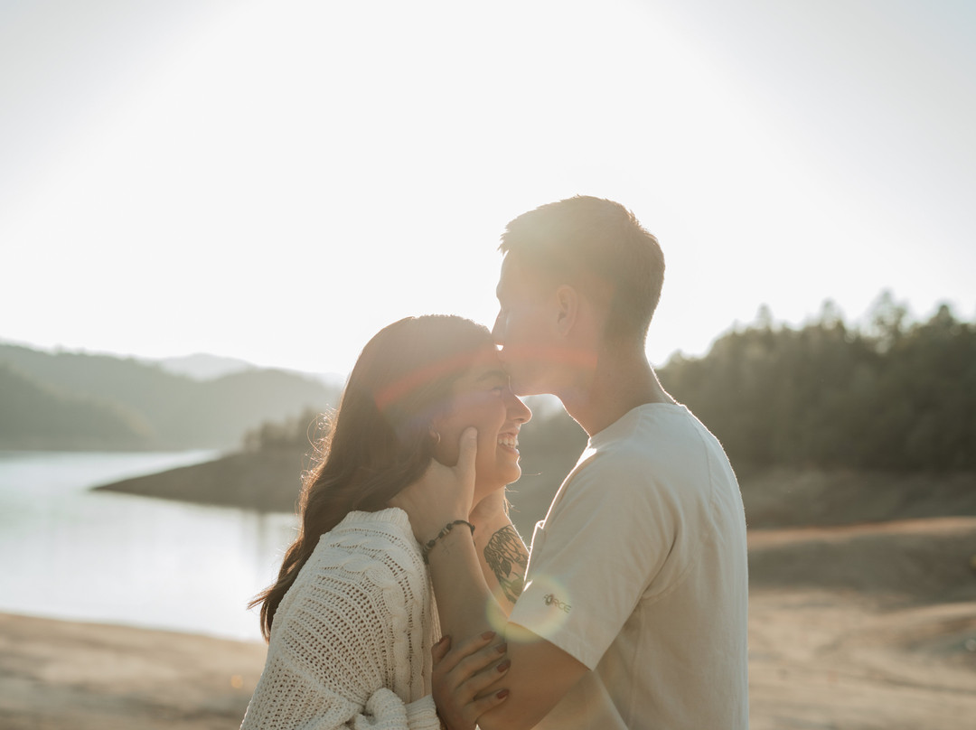 Bridge Bay At Shasta Lake主图