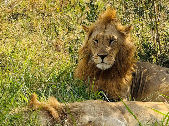 Trailblazer Safaris-阿鲁沙必去景点