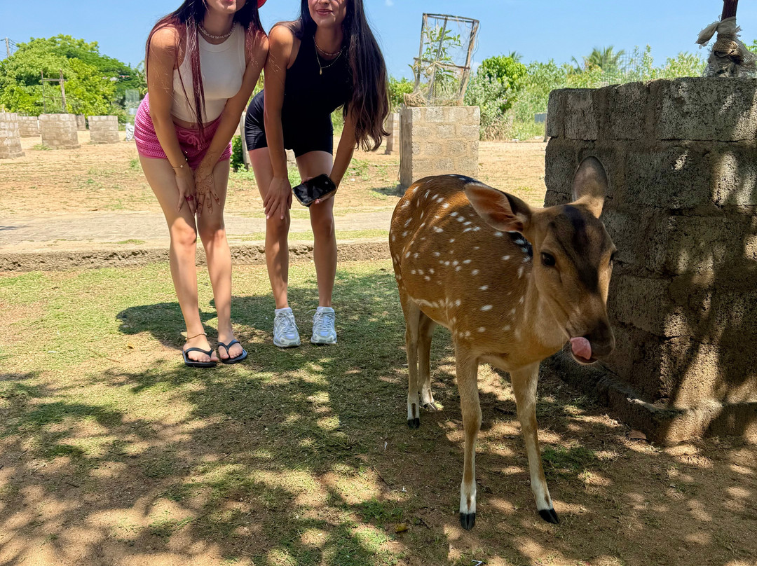 Lahiru Tours-加勒必去景点