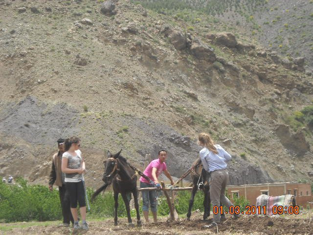 Mount Toubkal-null必去景点