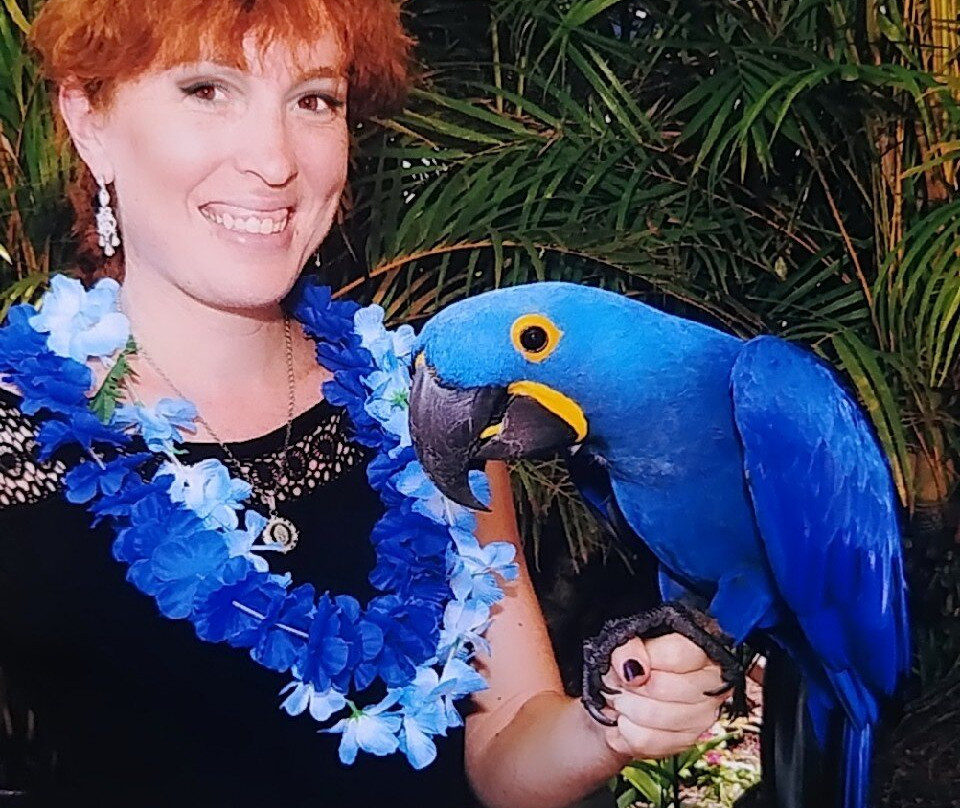 South Maui Gardens-基黑必去景点