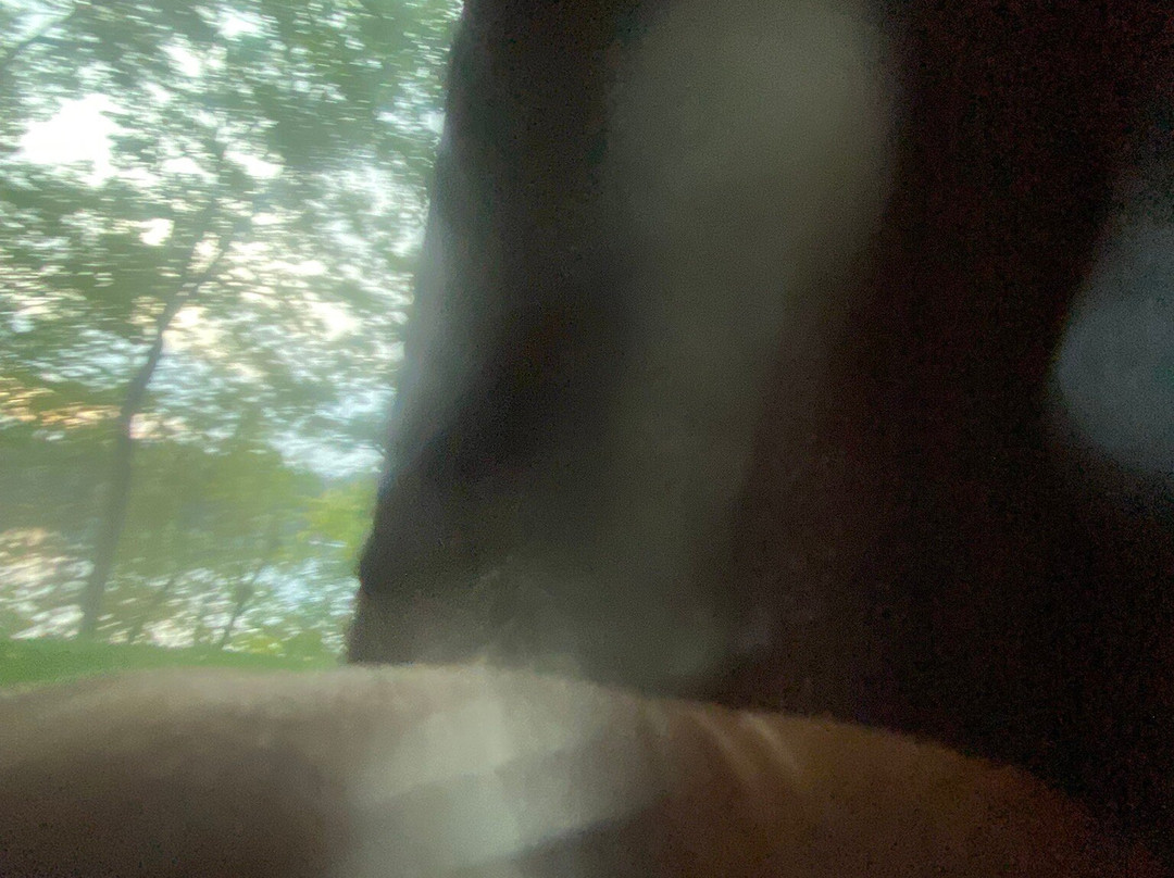 The Pointe Hotel & Suites主图