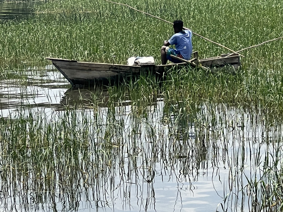 Haile Resort Hawassa主图