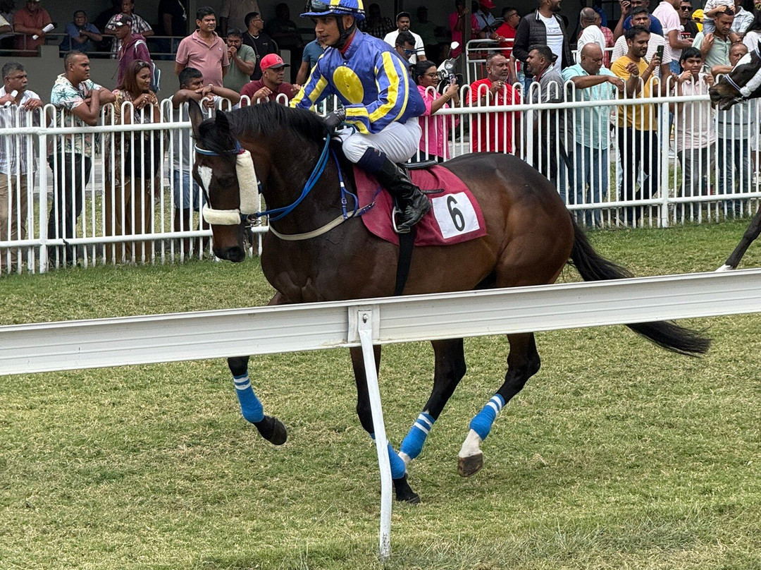 Port Louis Race Track-路易士港必去景点