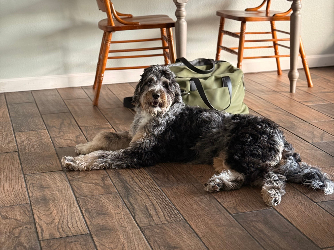 Willow Beach Resort主图