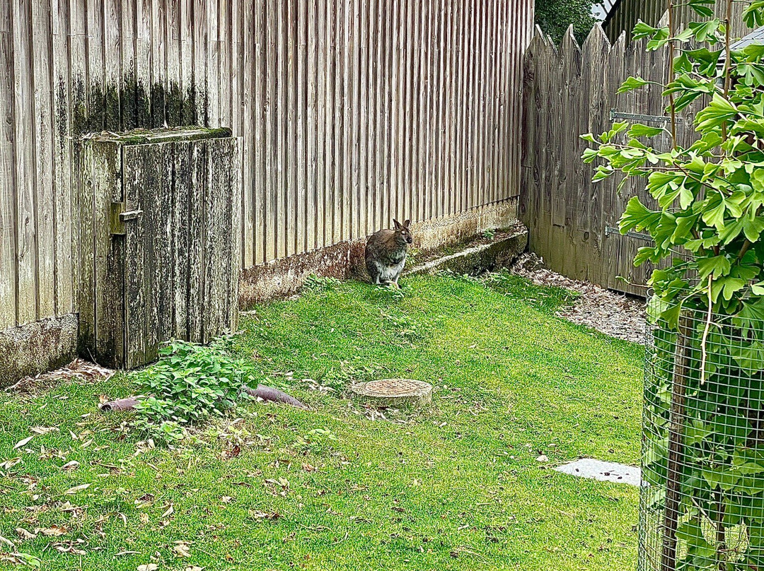 Parc Animalier et Botanique de Branféré-Le Guerno必去景点