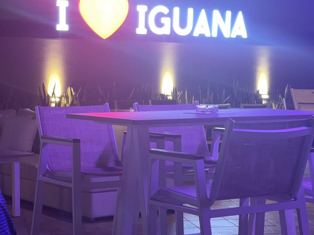 Iguana Cocktail Bar-卡拉马其必去景点