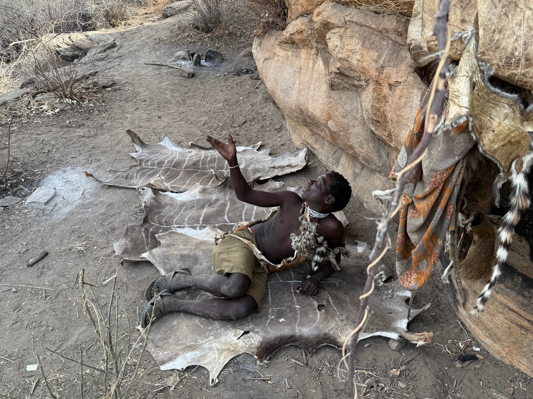 Sima Safari Limited-桑给巴尔市必去景点