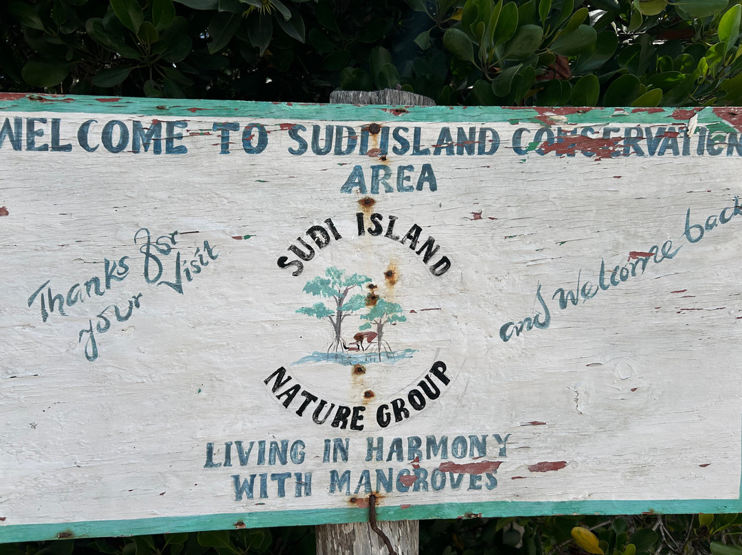 Jamaicano Kenya Safari-瓦塔木必去景点