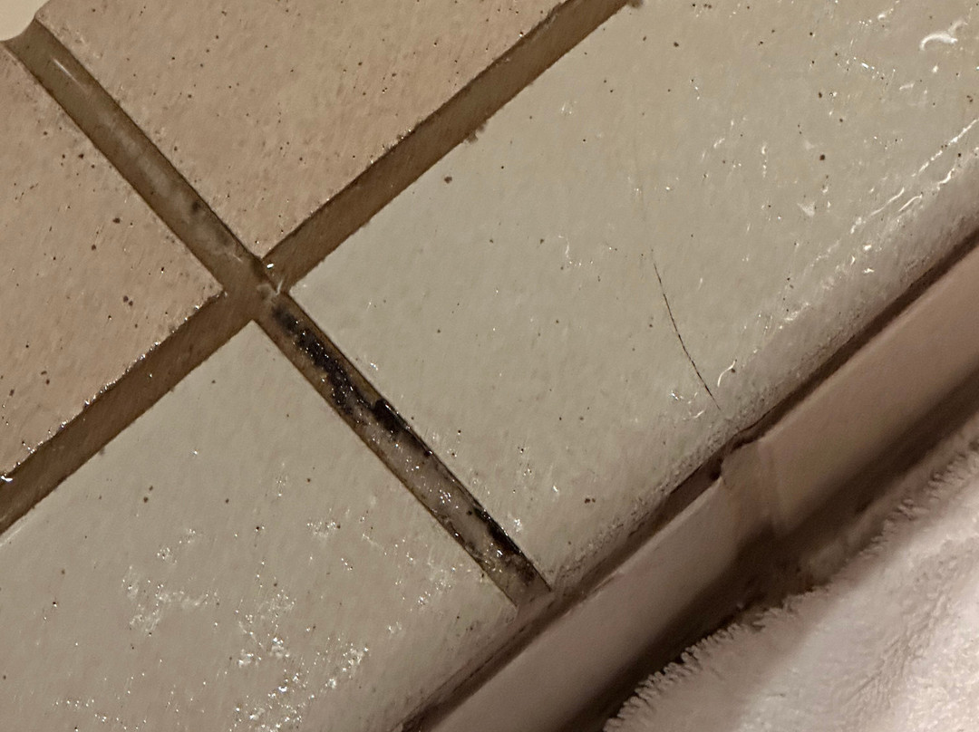 Superior Shores Resort主图