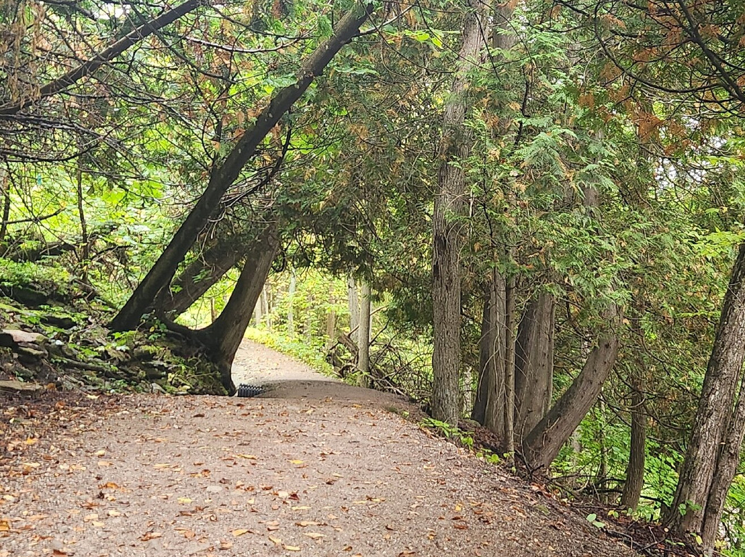 Bridal Veil Falls-Kagawong必去景点