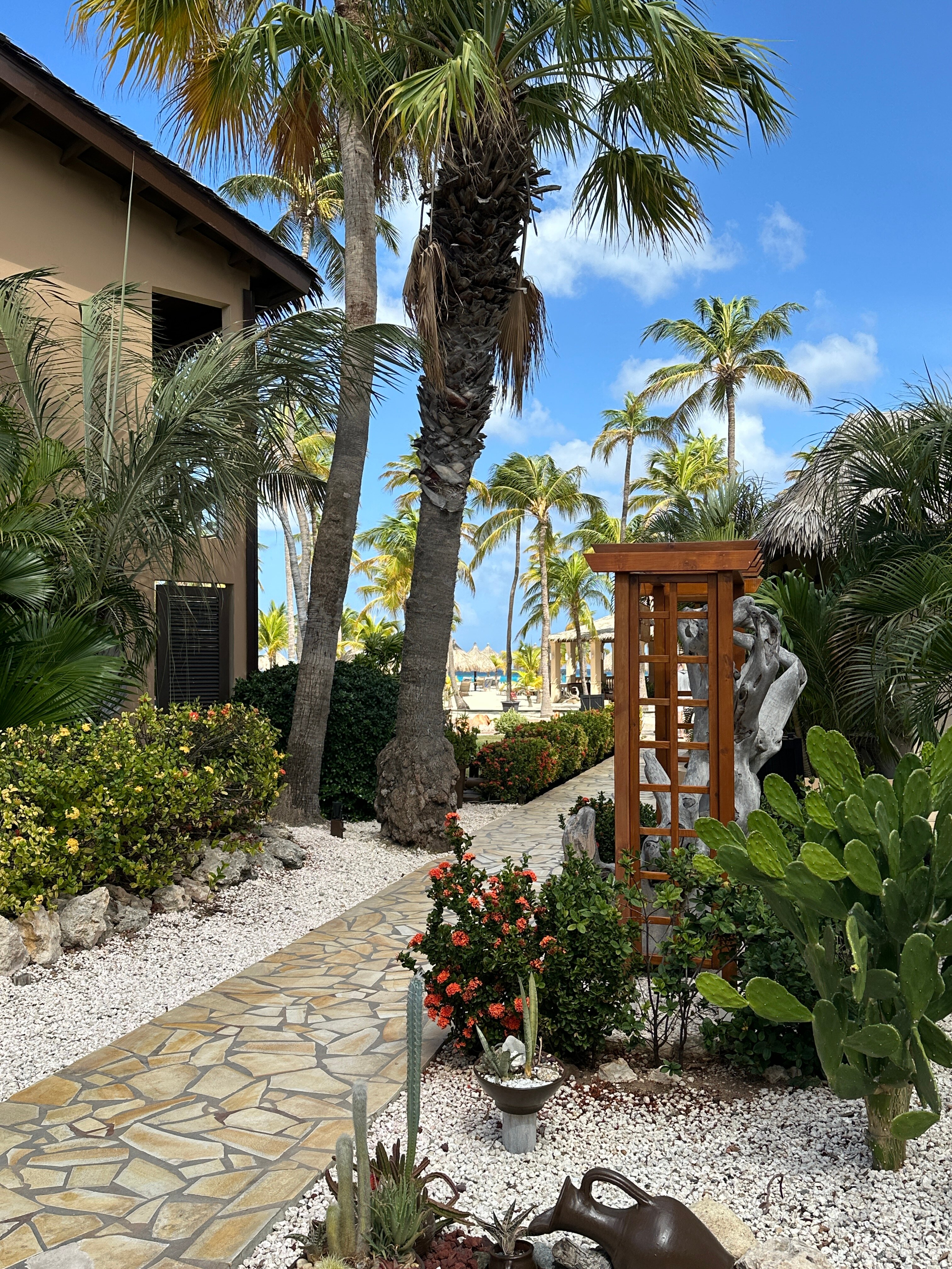 Manchebo Beach Resort & Spa-浴室