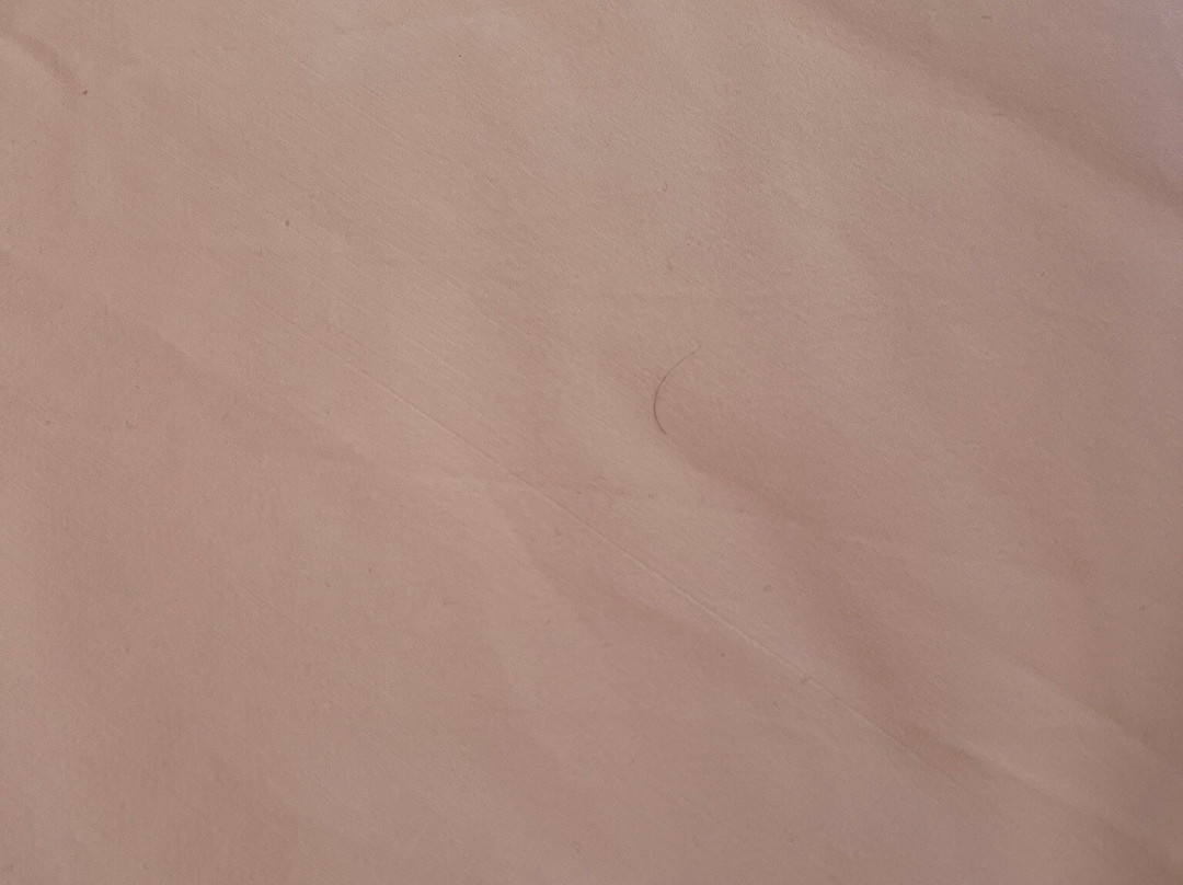 Milionis Forest Hotel主图