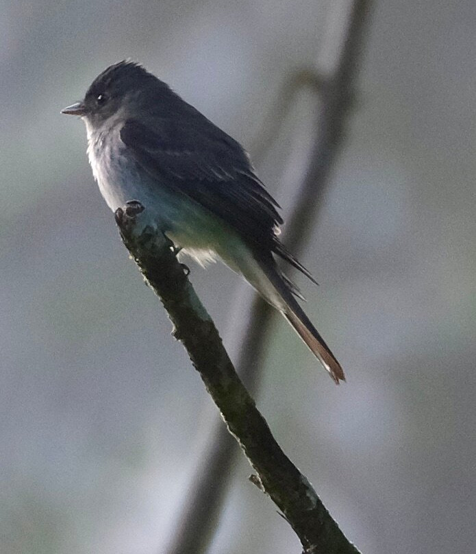 0S3 Private Tours-哈科必去景点