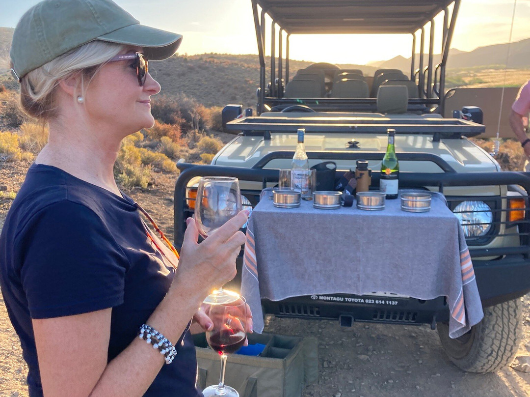 Sanbona Wildlife Reserve-蒙提古必去景点