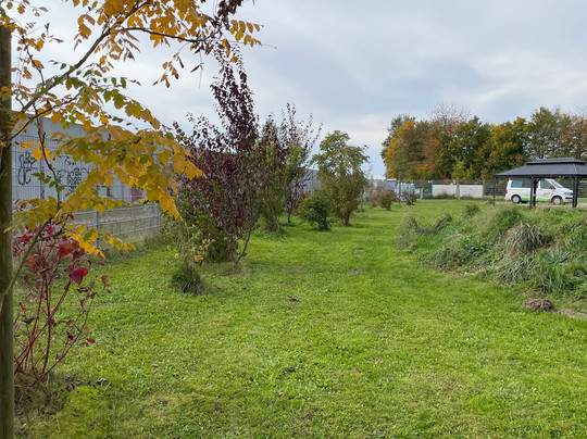 Innsider Hundewiese Ampfing-Ampfing必去景点