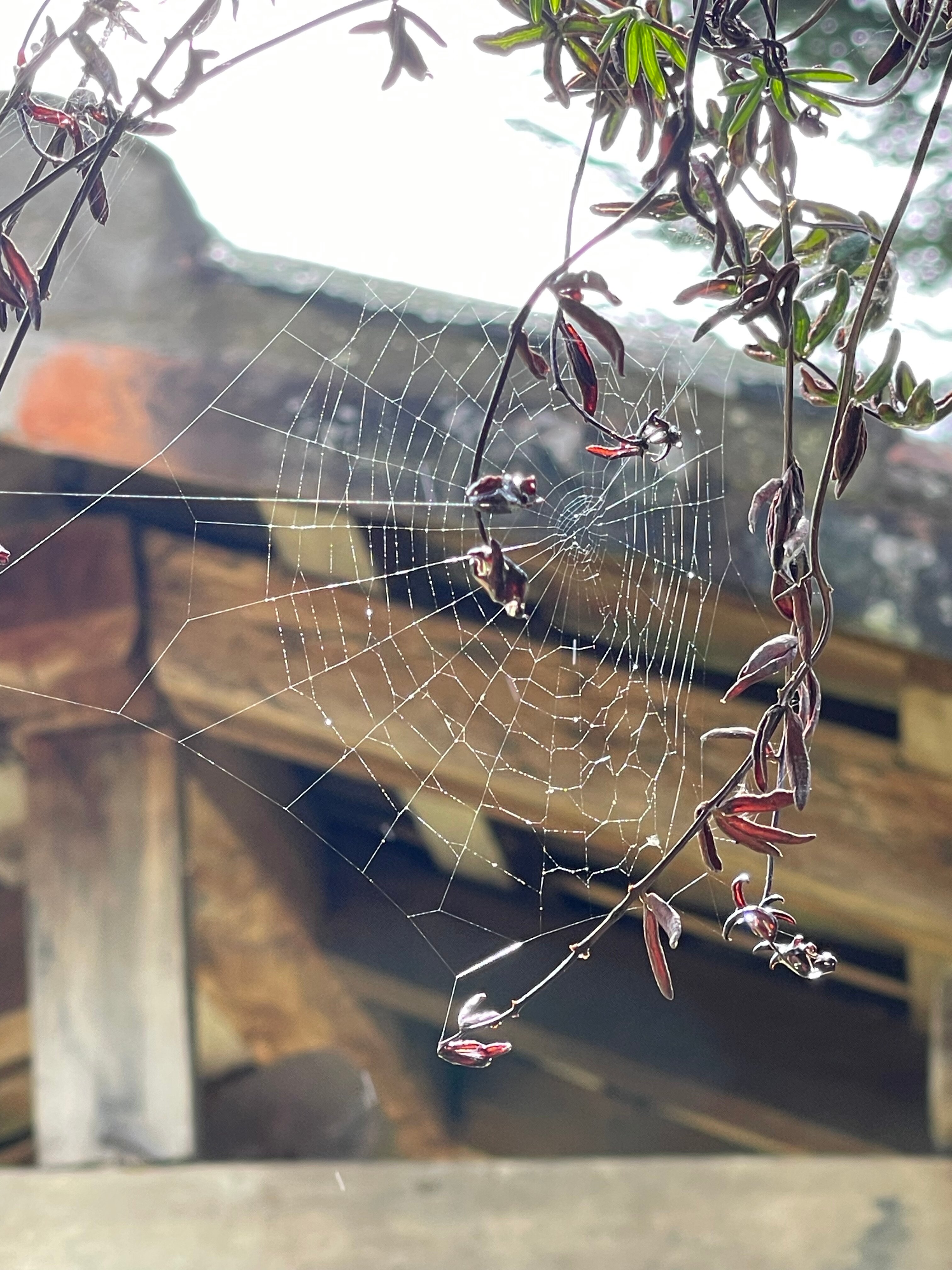 卡萨哈西安达吉曼尼塔酒店-官方