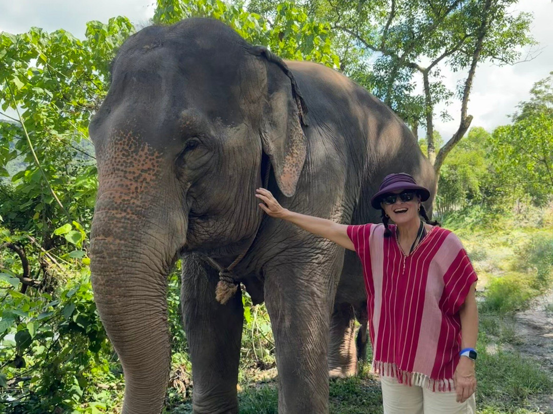 Kerchor Elephant Family Phuket-卡图必去景点