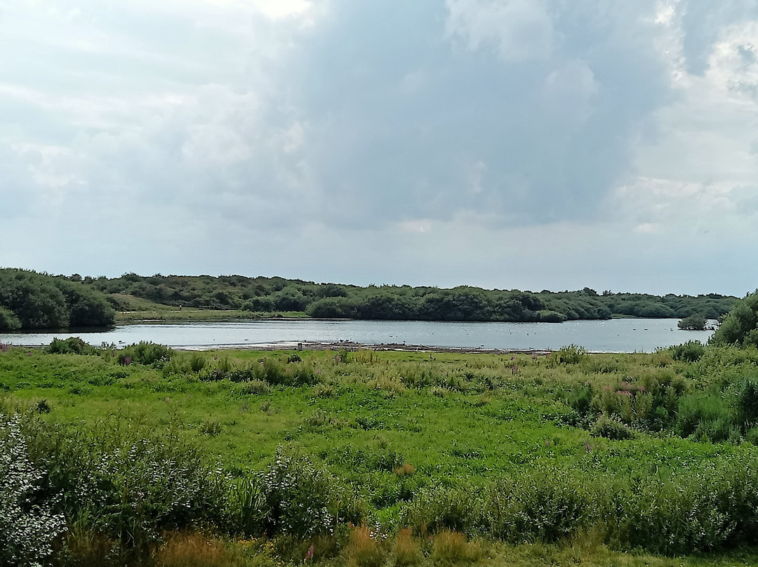 Westerplas