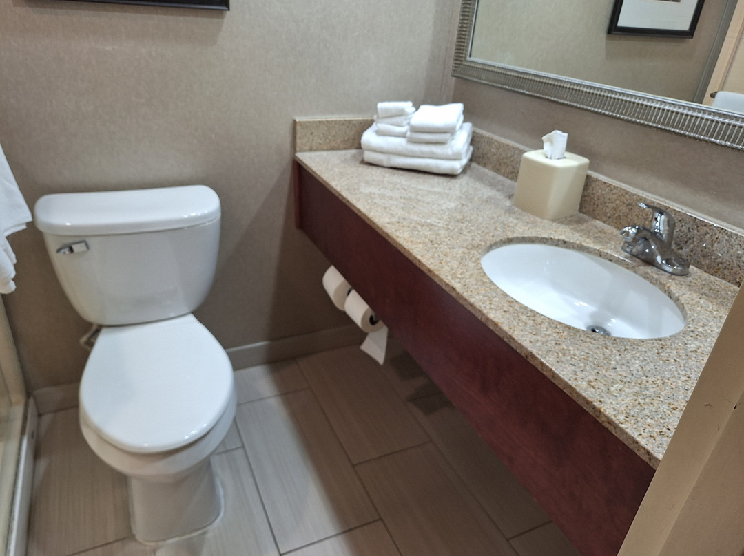 Holiday Inn 辛辛那提河边