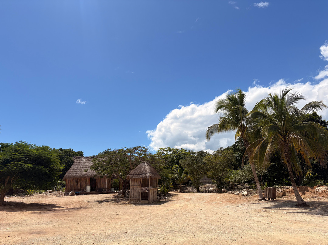 ToursCancun.org-墨西哥城必去景点