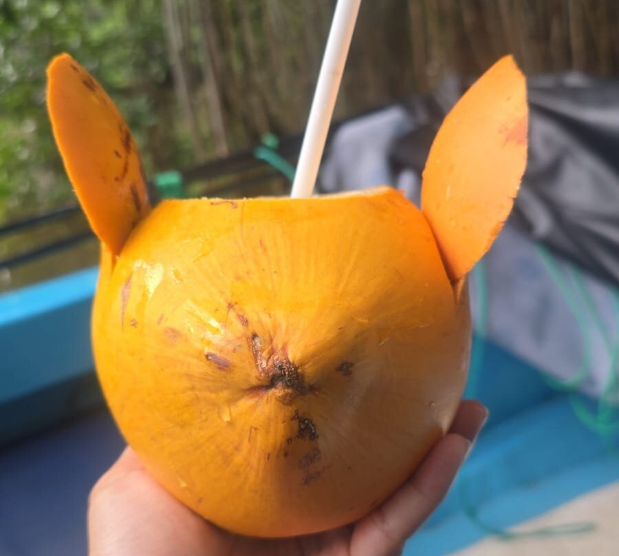 Bentota River-班托塔必去景点