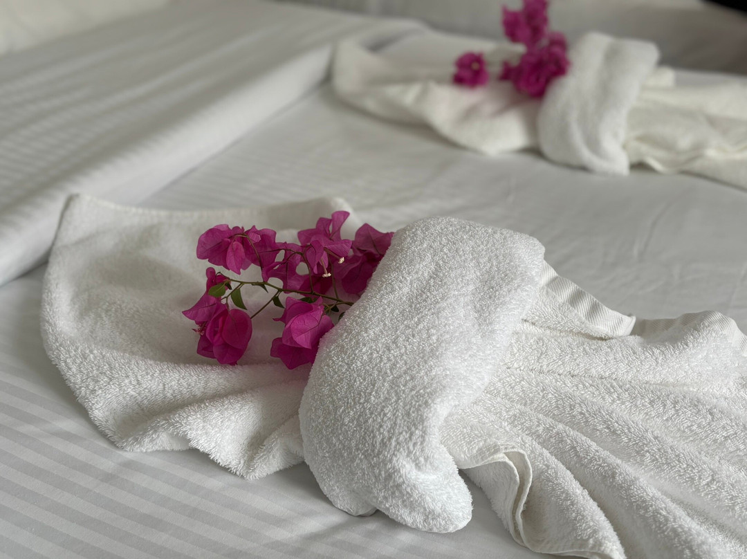 维努拉花园酒店主图