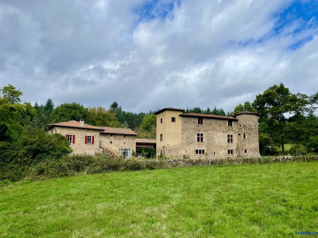 Chateau du Bouy